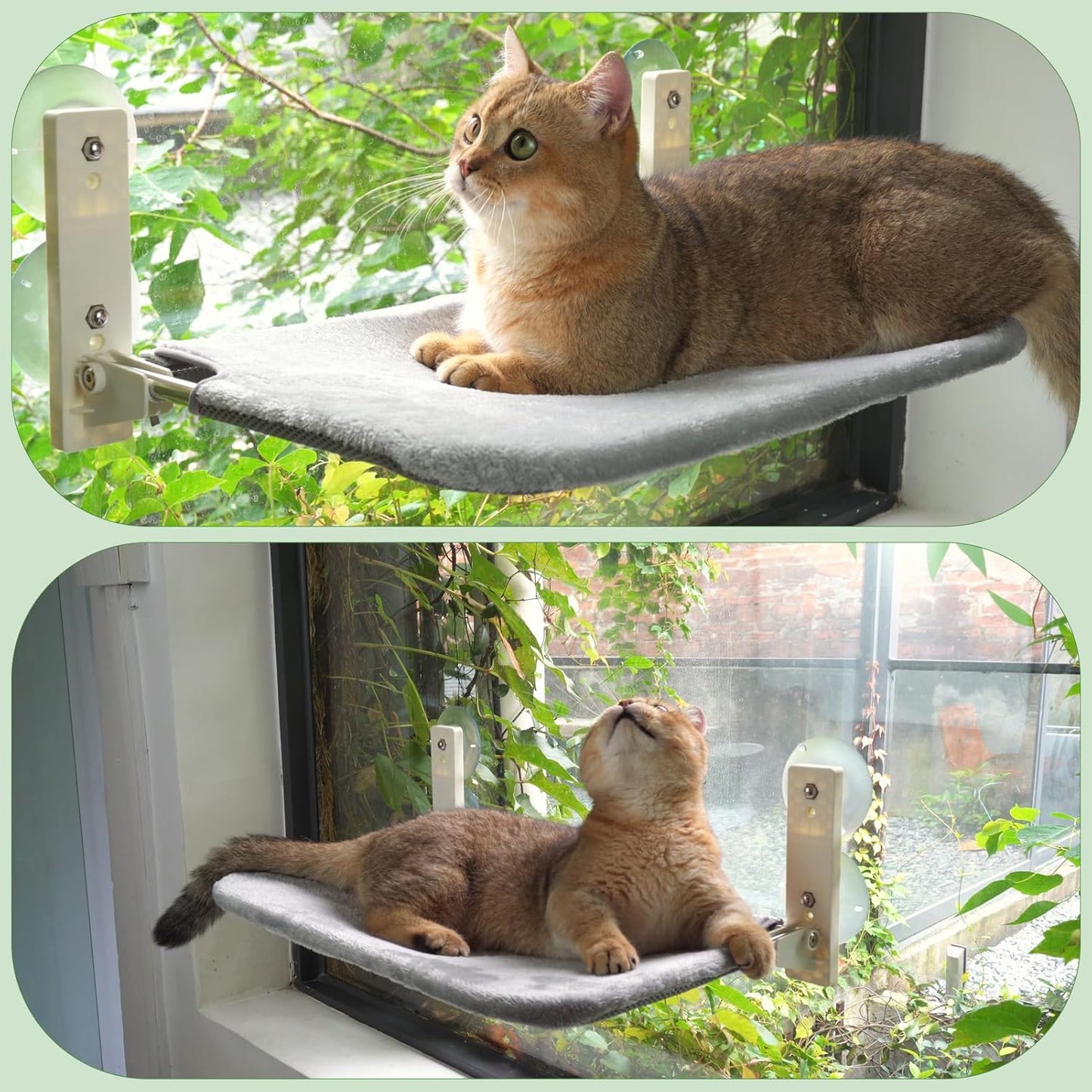 Cordless Foldable Cat Window Perch, Cat Hammock Update Secure Hold with 4 Cone Shape Suction Cups and 2 Sturdy Larger Base,Glass Windows Hammock for Cats Inside (Grey Medium)