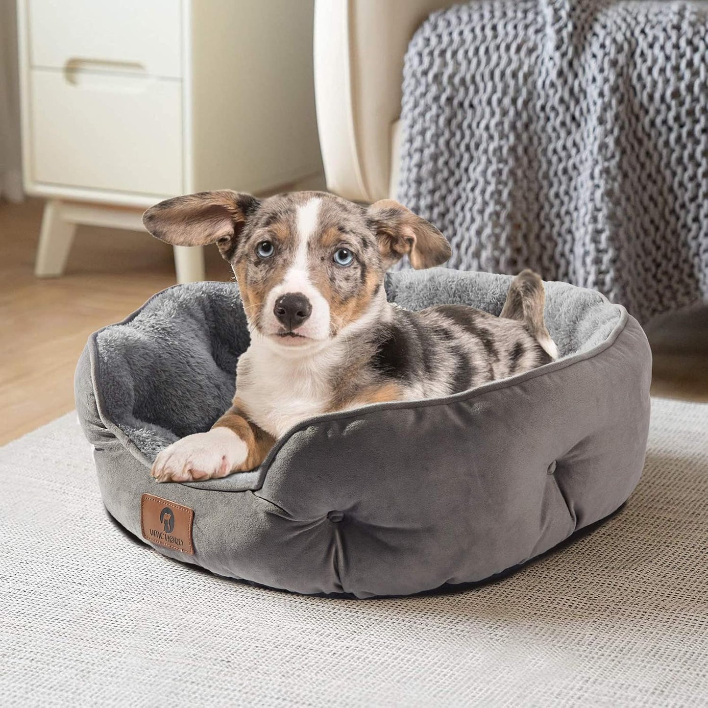 Small Dog Bed for Large Dogs, Cat Beds for Indoor Cats, Pet Bed for Puppy and Kitty, Extra Soft & Machine Washable with Anti-Slip & Water-Resistant Oxford Bottom, Grey, 20 inches