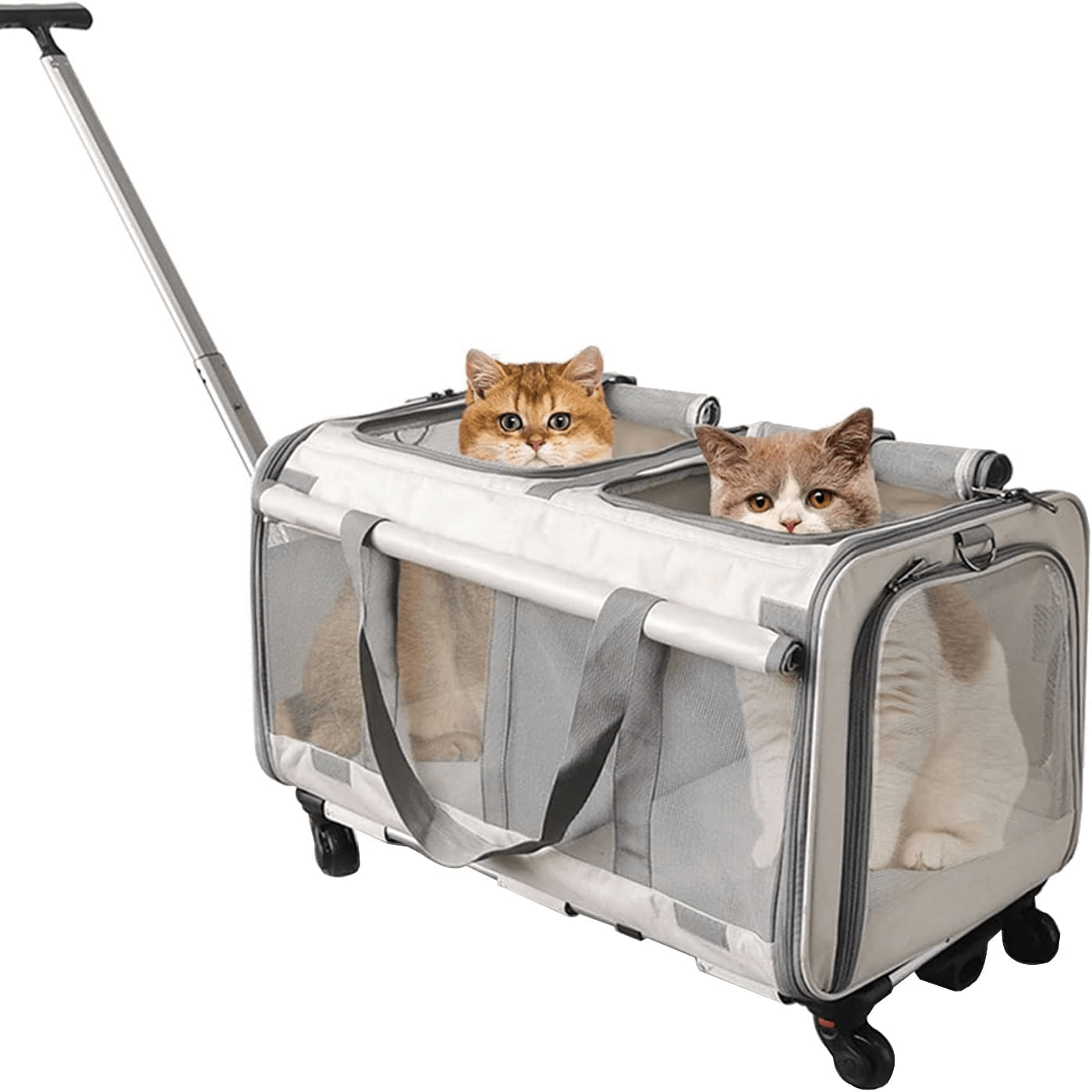 Rollende Transportbox mit zwei Fächern und Rädern für 2 Katzen und Welpen - abnehmbare Transportbox mit bequemem Griff und atmungsaktiven Mesh-Fenstern